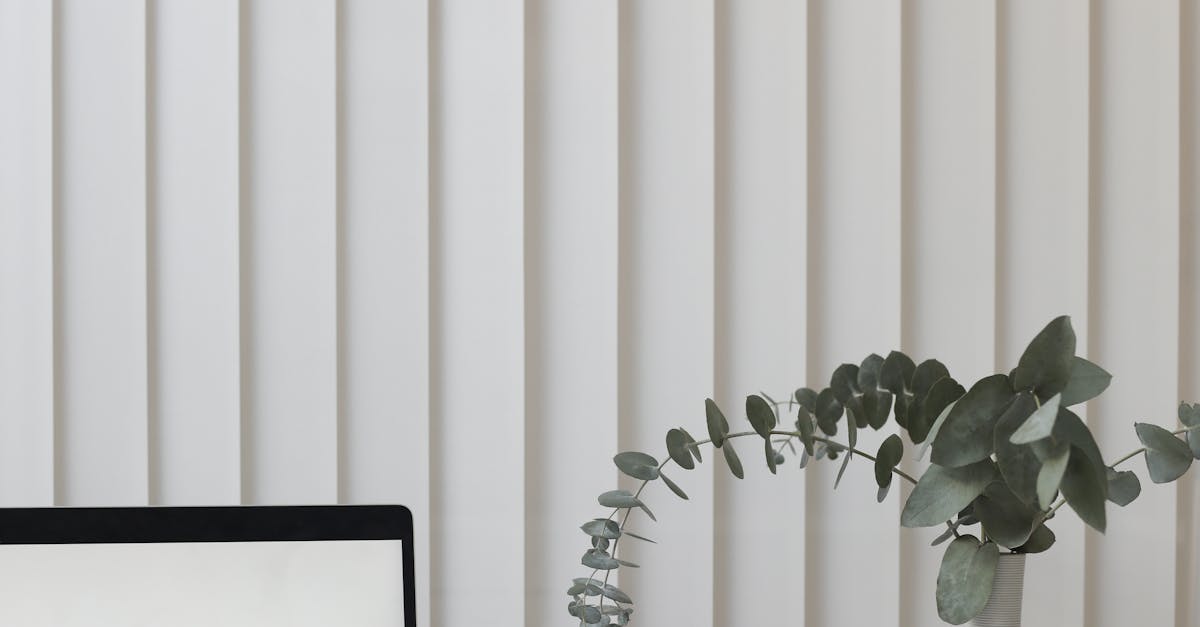 Top Companies Offering Same-Day Laptop Screen Replacement