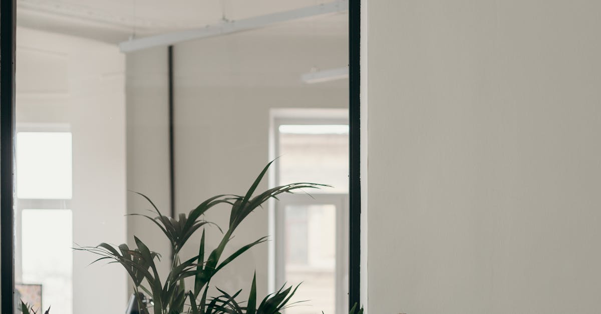 Understanding the Cost Differences in Laptop Screen Replacements